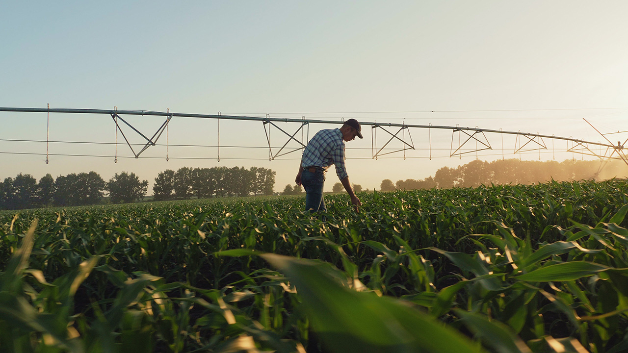 Agriculture and Farming Families