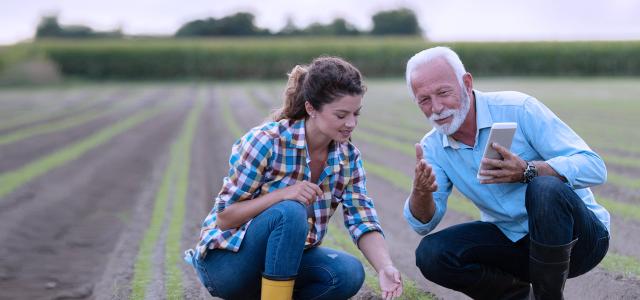 Farmers of two generations checking carrot quality in field